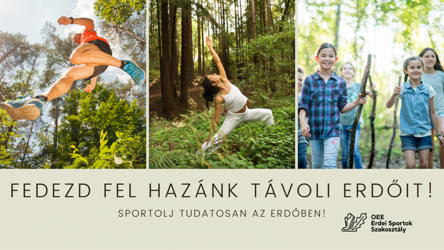Sportolj tudatosan az erdőben! (5)