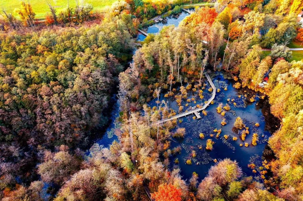 tatai fényes tanösvény 