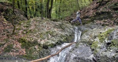 Őszi kirándulások a Dunakanyarban – 4 kalandos úti cél gyerekekkel